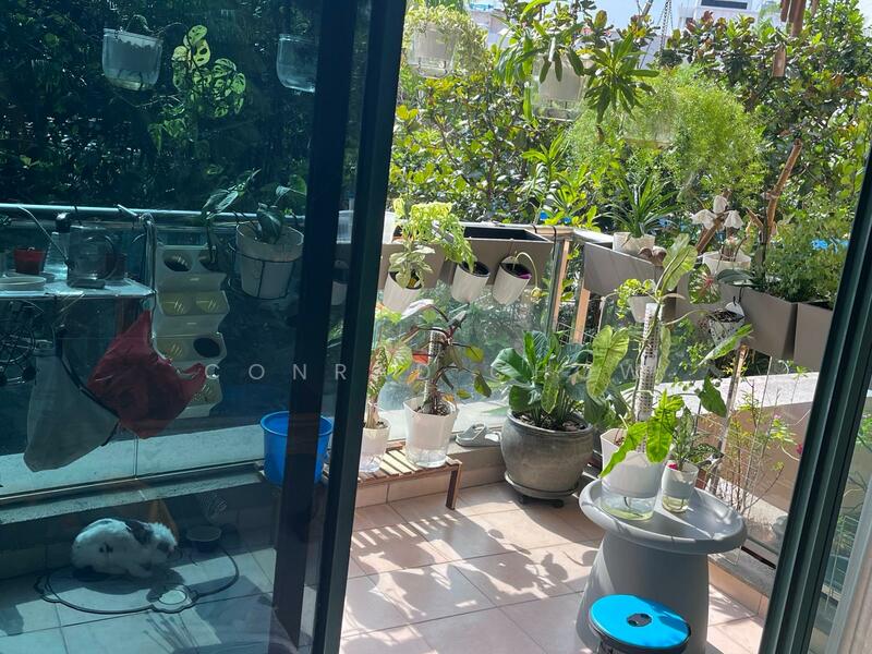 Thomson 800, 798 Thomson Road, 3 Bedrooms, 1,400 sqft, Condominium For Rent, by Conrad Chow, 500055068 - PropertyGuru.com.sg