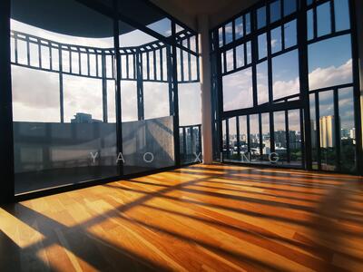 For Sale - Neem Tree