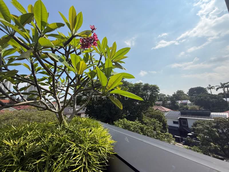 Kingsmead Road / New Built Home - 1KM NYPS and RGPS. Elevated and Wide Frontage New Bungalow, Coronation Road / Coronation Drive, 7 Bedrooms, 9,800 sqft, Bungalow House For Sale, by Bernard Wu, 500055078 - Exterior - PropertyGuru.com.sg