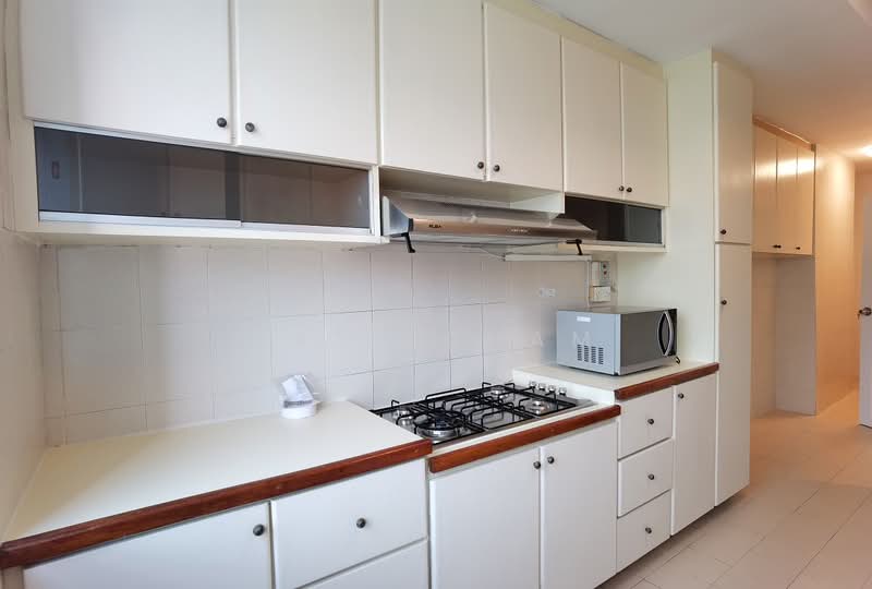 336 River Valley, 336 River Valley Road, 3 Bedrooms, 1,582 sqft, Apartment For Rent, by Raye Cham, 500055726 - Kitchen - PropertyGuru.com.sg