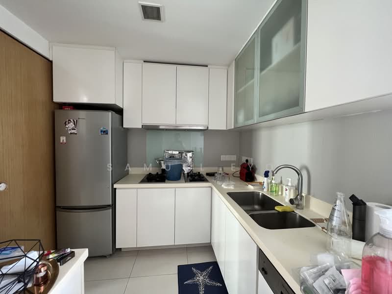 Rhapsody on Mount Elizabeth, 16 Mount Elizabeth, 2 Bedrooms, 1,044 sqft, Apartment For Rent, by Samuel Eyo, 500055826 - Kitchen - PropertyGuru.com.sg