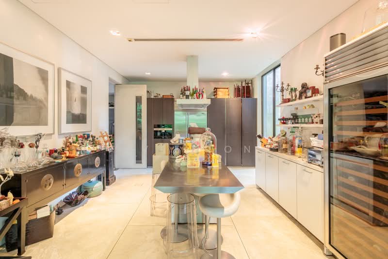Watten Estate Semi-Detached House For Sale at S$ 13,300,000 | PropertyGuru Singapore - Kitchen