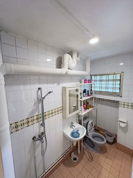255 Pasir Ris Street 21 HDB Flat For Sale at S$ 620,000 | PropertyGuru Singapore - Bathroom