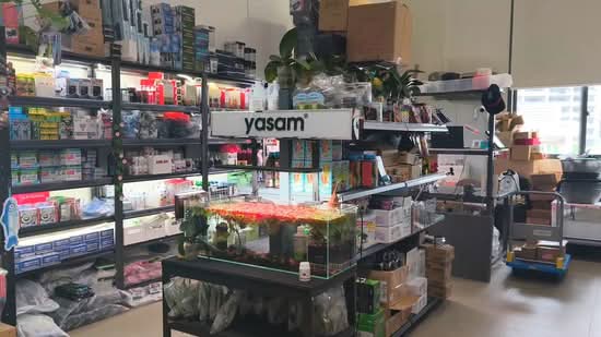 Centropod, 80 Changi Road, 474 sqft, Mall Shop For Sale, by Myra Goh, 500055979 - CommercialGuru.com.sg