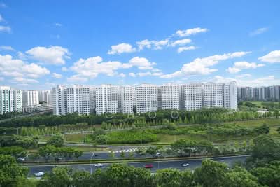 For Sale - 213A Punggol Walk