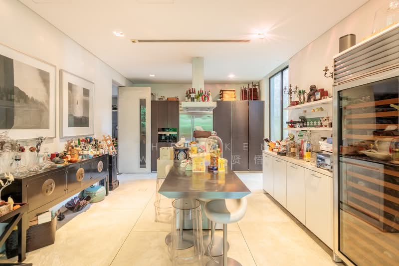 Watten Rise Semi-Detached House For Sale at S$ 13,300,000 | PropertyGuru Singapore - Kitchen
