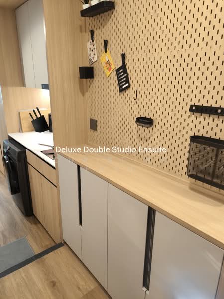 RESIDE CoLiving 336 River Valley, 336 River Valley, Studio, 151 sqft, Apartment For Rent, by Christina Phau, 500056383 - PropertyGuru.com.sg