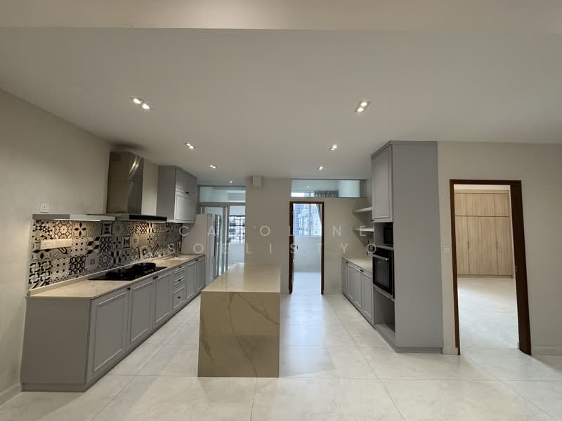 Minbu Villa, 56 Minbu Road, 3 Bedrooms, 2,336 sqft, Apartment For Sale, by Caroline Soelistyo, 500056756 - Kitchen - PropertyGuru.com.sg