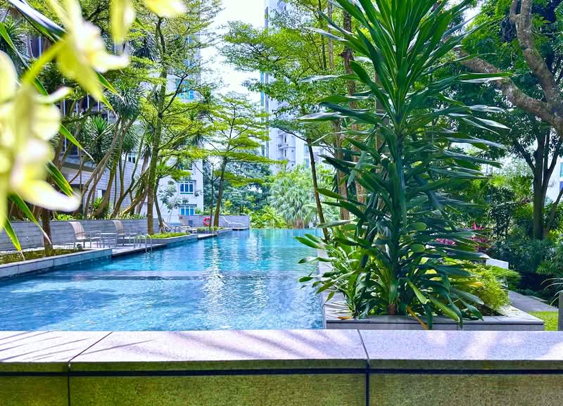 Three Three Robin Apartment For Sale at S$ 5,250,000 | PropertyGuru Singapore - Pool View from Living