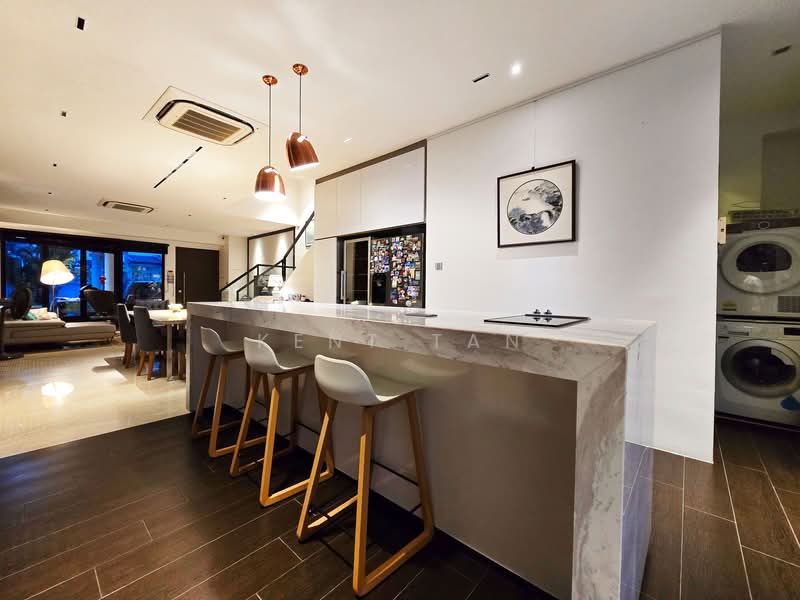 Modern renovated 3 storey Semi-D near Pei Hwa & Methodist Girls’ Sch Primary Semi-Detached House For Sale at S$ 3,980,000 | PropertyGuru Singapore
