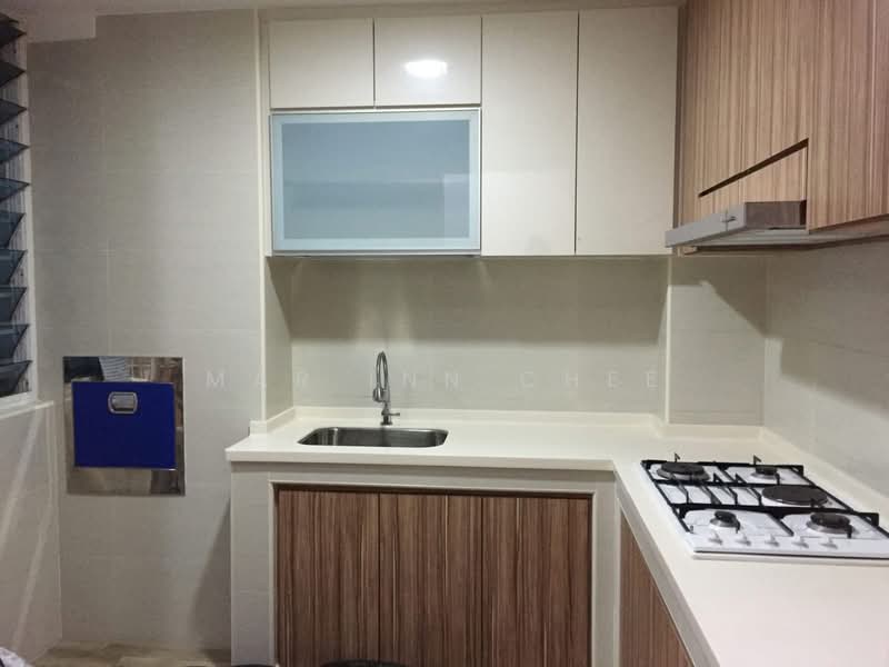 Park Court, 9 Lorong 101 Changi, 1 Bedroom, 100 sqft, Condominium For Rent, by Mar Inn Chee, 500058074 - Kitchen - PropertyGuru.com.sg