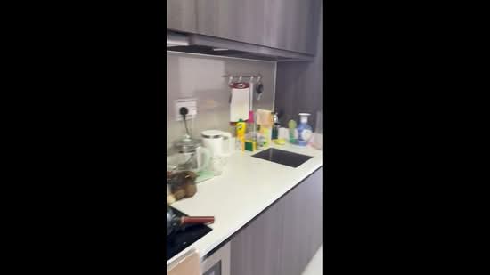 North Park Residences, 15 Yishun Central 1, Studio, 431 sqft, Condominium For Rent, by Robert Teo, 500058130 - PropertyGuru.com.sg