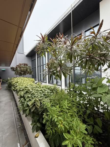 Perfect Ten, 323 Bukit Timah Road, 3 Bedrooms, 1,227 sqft, Condominium For Rent, by Hu Yan, 500058147 - PropertyGuru.com.sg