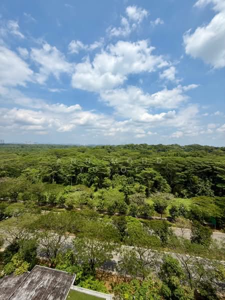 478C Yishun Street 44, 478C Yishun Street 44, 1 Bedroom, 505 sqft, HDB Flat For Rent, by Ann Mohd Yusof, 500058316 - View - PropertyGuru.com.sg