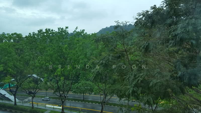 Hume Park II, 19 Hume Avenue, 2 Bedrooms, 1,001 sqft, Condominium For Rent, by Brenda Poon, 500058488 - PropertyGuru.com.sg