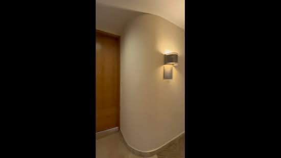 The Colonnade, 82 Grange Road, 4 Bedrooms, 3,994 sqft, Condominium For Rent, by Navin Pampan, 500059002 - PropertyGuru.com.sg