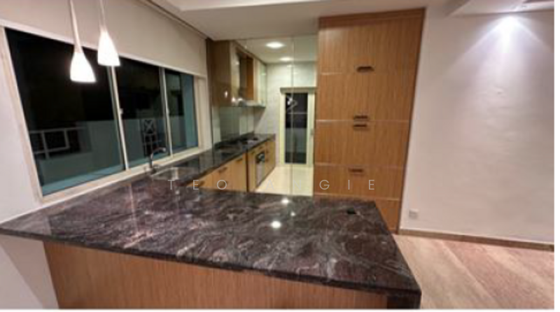 hillcrest road, , 5 Bedrooms, 2,753 sqft, Semi-Detached House For Rent, by Teo Angie, 500059072 - Kitchen - PropertyGuru.com.sg