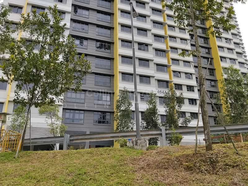 464A Clementi Avenue 1, 464A Clementi Avenue 1, Room Rental, 198 sqft, HDB Flat For Rent, by Collin Khwang, 500059245 - Exterior - PropertyGuru.com.sg