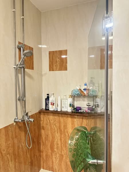 Barossa Gardens Terraced House For Sale at S$ 3,380,000 | PropertyGuru Singapore - Bathroom