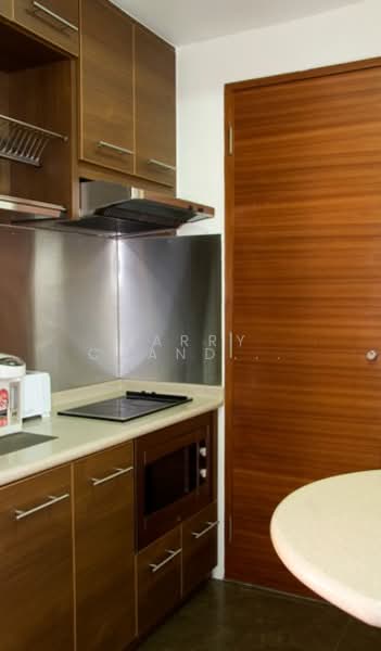 International Plaza, 10 Anson Road, Studio, 431 sqft, Apartment For Rent, by Harry Chandrakant, 500059410 - Kitchen - PropertyGuru.com.sg
