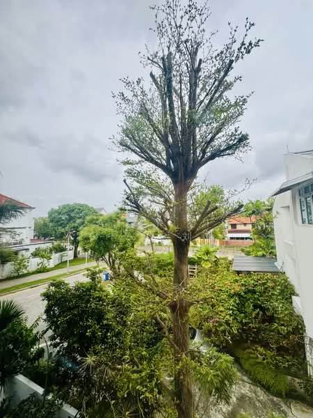 Lotus Ville Cluster House For Sale at S$ 4,200,000 | PropertyGuru Singapore - Exterior