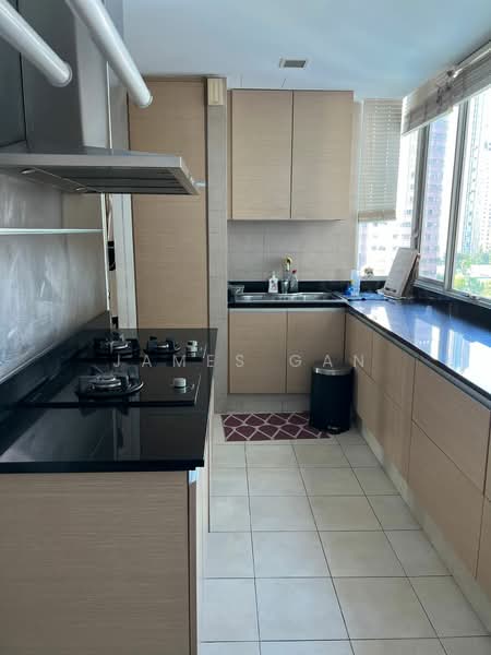 The Grange Condominium For Sale at S$ 6,800,000 | PropertyGuru Singapore - Wet Kitchen