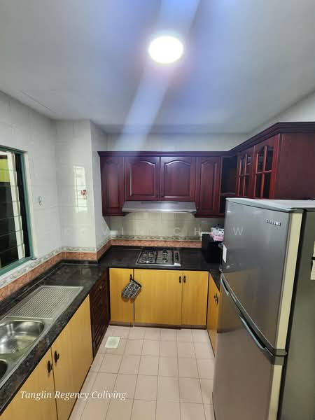 Tanglin Regency, 383 Tanglin Road, Tanglin / Holland / Bukit Timah, Room Rental, 120 sqft, Condominium For Rent, by Kevin Chew, 500059953 - Kitchen - PropertyGuru.com.sg