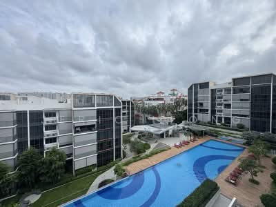 For Sale - The Gazania