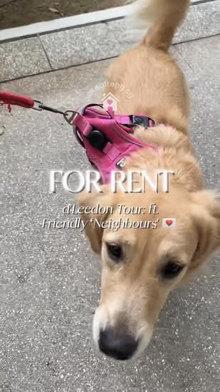 d'Leedon (Former Farrer Court), 13 Leedon Heights, 2 Bedrooms, 721 sqft, Condominium For Rent, by Teng Tan, 500060054 - PropertyGuru.com.sg