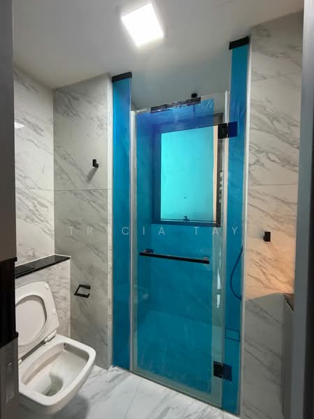 The Landmark, 173 Chin Swee Road, 2 Bedrooms, 753 sqft, Condominium For Rent, by Tricia Tay, 500060118 - Bathroom - PropertyGuru.com.sg