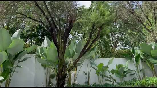 Parc Emily Condominium For Sale at S$ 1,400,000 | PropertyGuru Singapore