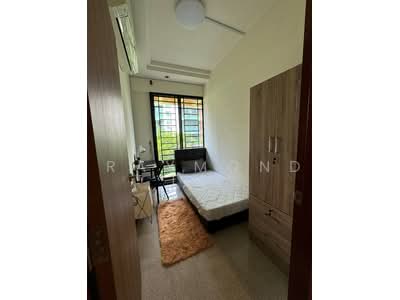 For Rent - Tropical Spring