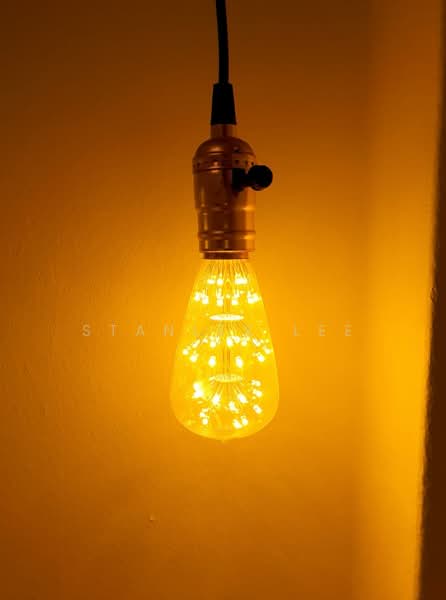 221 Rangoon Road, , Room Rental, 80 sqft, Shophouse For Rent, by Stanley Lee, 500060757 - PropertyGuru.com.sg