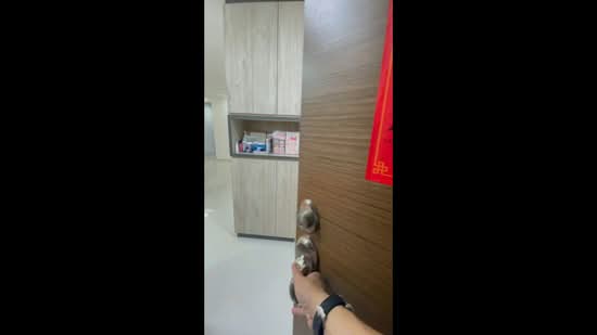 513 Woodlands Drive 14 HDB Flat For Sale at S$ 878,000 | PropertyGuru Singapore