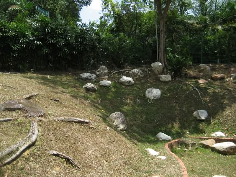 Morley Road, Morley Road, 5 Bedrooms, 4,000 sqft, Bungalow House For Rent, by Jay Ting, 500061063 - Garden - PropertyGuru.com.sg
