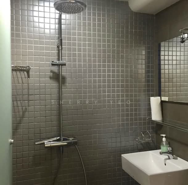 International Plaza, 10 Anson Road, Studio, 431 sqft, Apartment For Rent, by Sherry Yeo, 500061220 - Bathroom - PropertyGuru.com.sg