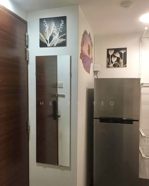 International Plaza, 10 Anson Road, Studio, 431 sqft, Apartment For Rent, by Sherry Yeo, 500061220 - Entrance - PropertyGuru.com.sg