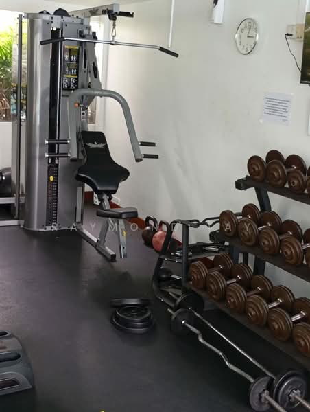 Westmere, 71 Jurong East Street 13, Room Rental, 160 sqft, Condominium For Rent, by Raymond Tay, 500061289 - Gym - PropertyGuru.com.sg