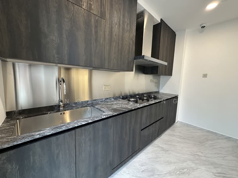 5 Levels Brand New Landed in Novena Terraced House For Sale at S$ 7,880,000 | PropertyGuru Singapore - Kitchen