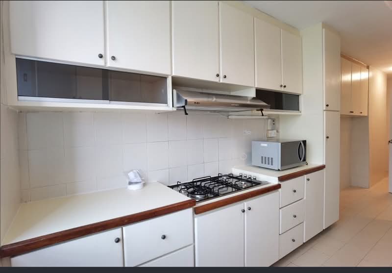 336 River Valley, 336 River Valley Road, 3 Bedrooms, 1,582 sqft, Apartment For Rent, by Roy Sho, 500061390 - Kitchen - PropertyGuru.com.sg