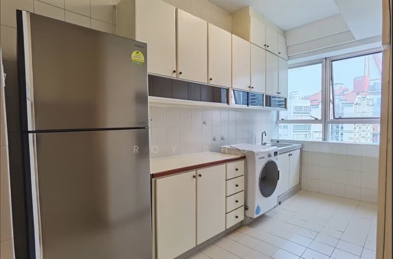 336 River Valley, 336 River Valley Road, 3 Bedrooms, 1,582 sqft, Apartment For Rent, by Roy Sho, 500061390 - Kitchen - PropertyGuru.com.sg