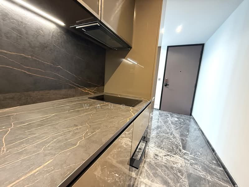 One Bernam, 1 Bernam Street, 1 Bedroom, 463 sqft, Condominium For Rent, by Wang JC, 500061454 - Kitchen - PropertyGuru.com.sg