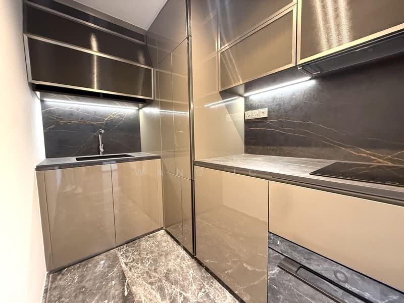 One Bernam, 1 Bernam Street, 1 Bedroom, 463 sqft, Condominium For Rent, by Wang JC, 500061454 - Kitchen - PropertyGuru.com.sg