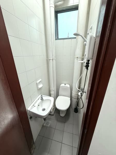 Springdale Condo, 45 Hindhede Walk, Room Rental, 100 sqft, Condominium For Rent, by Sean Ong, 500061812 - Bathroom - PropertyGuru.com.sg