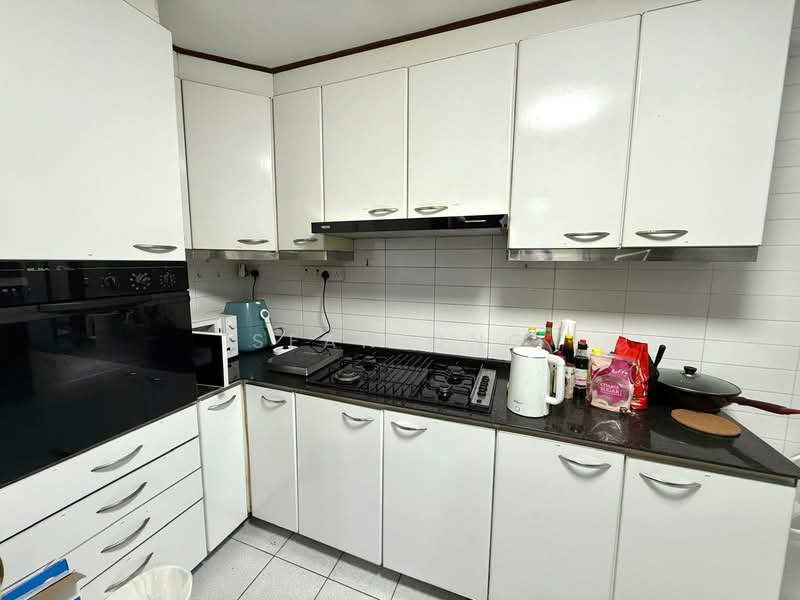 Springdale Condo, 45 Hindhede Walk, Room Rental, 100 sqft, Condominium For Rent, by Sean Ong, 500061812 - Kitchen - PropertyGuru.com.sg