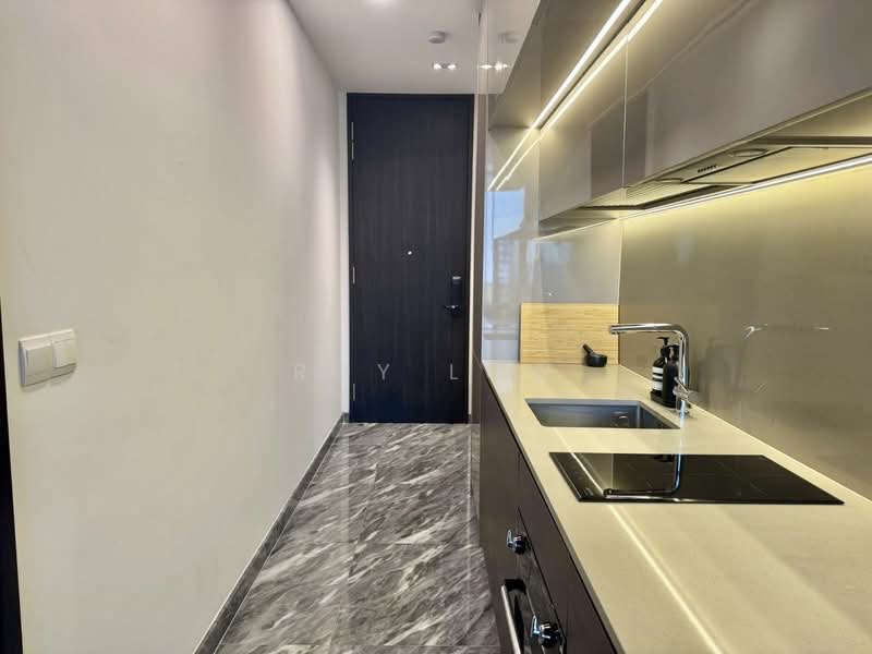 Sky Everton, 50 Everton Road, 2 Bedrooms, 592 sqft, Condominium For Rent, by Roy Low, 500061856 - Kitchen - PropertyGuru.com.sg