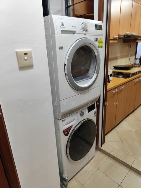 Westcove Condo, 10 West Coast Crescent, Room Rental, 150 sqft, Condominium For Rent, by Ng Kang Seng, 500062156 - Kitchen - PropertyGuru.com.sg