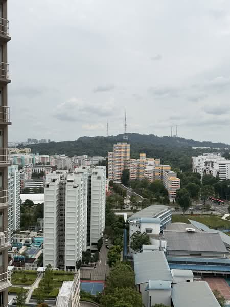 293C Bukit Batok Street 21 HDB Flat For Sale at S$ 849,999 | PropertyGuru Singapore - Exterior