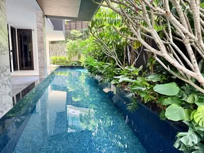 For Sale - ✨ Brand New 3.5 + M Storey Semi-D @ Orchard Fernhill Road Dalvey Road Nassim Road Stevens Close