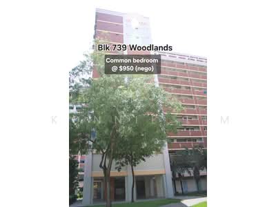 For Rent - 739 Woodlands Circle